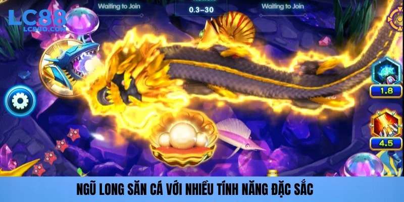 Ngũ Long săn cá với nhiều tính năng đặc sắc